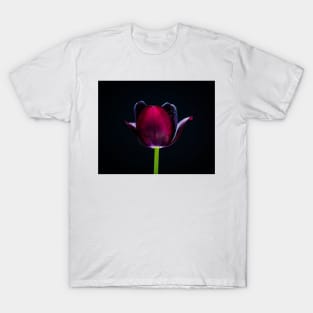 GardenTulip 8 T-Shirt